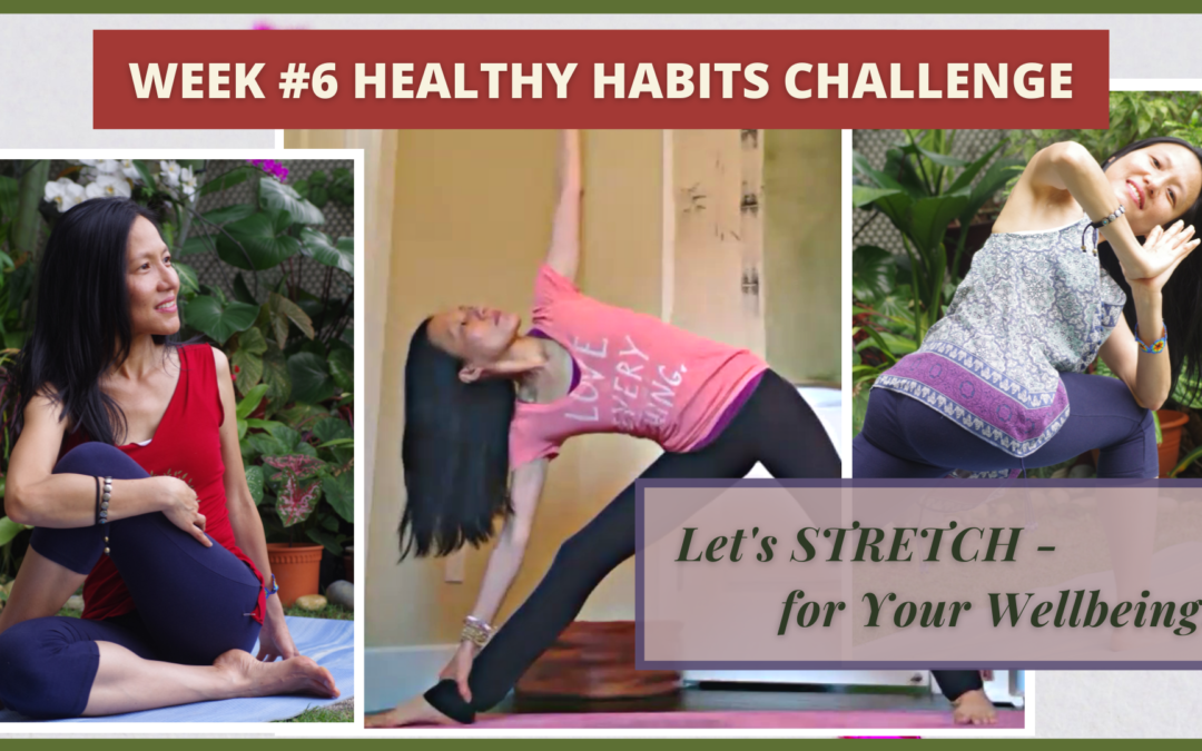 Week #6 Healthy Habits Challenge – Let’s STRETCH, for Your Well-being!